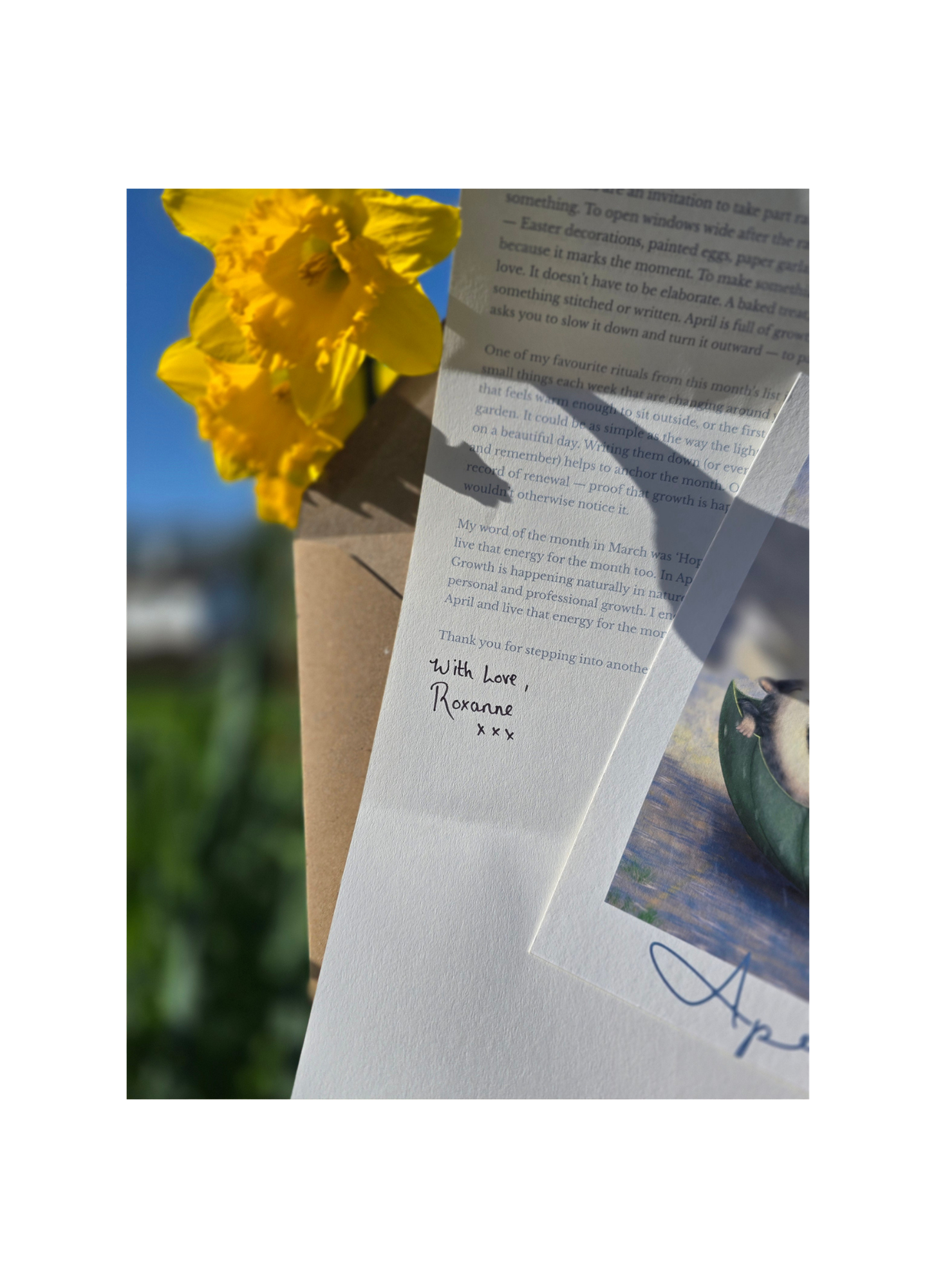 a letter and an art print with a daffodil
