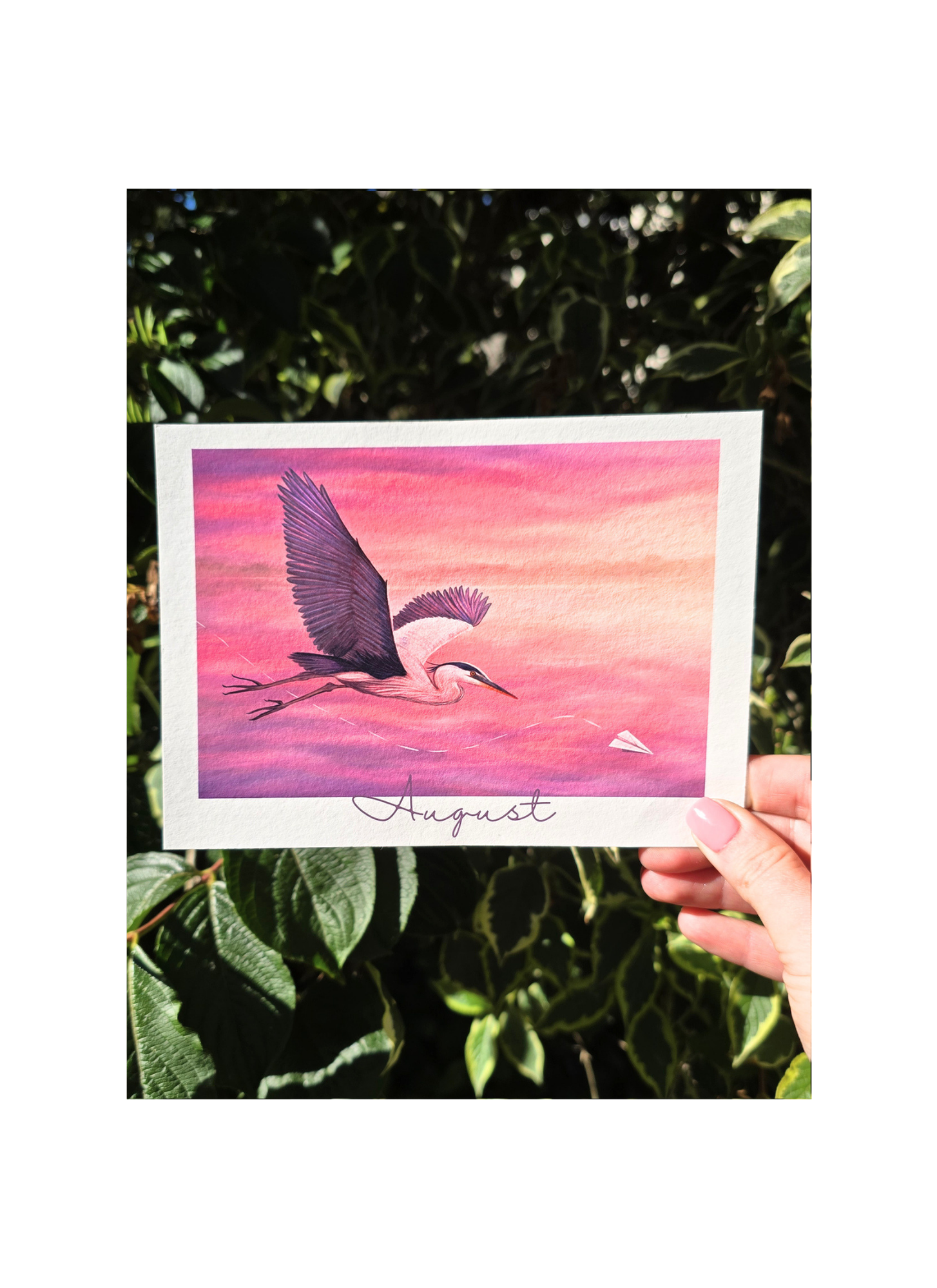 Hand holding a card with a bird illustration and 'August' text against a pink and purple gradient background.