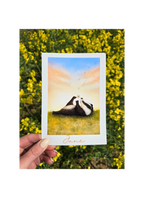 art print of a badger in a field with yellow flowers