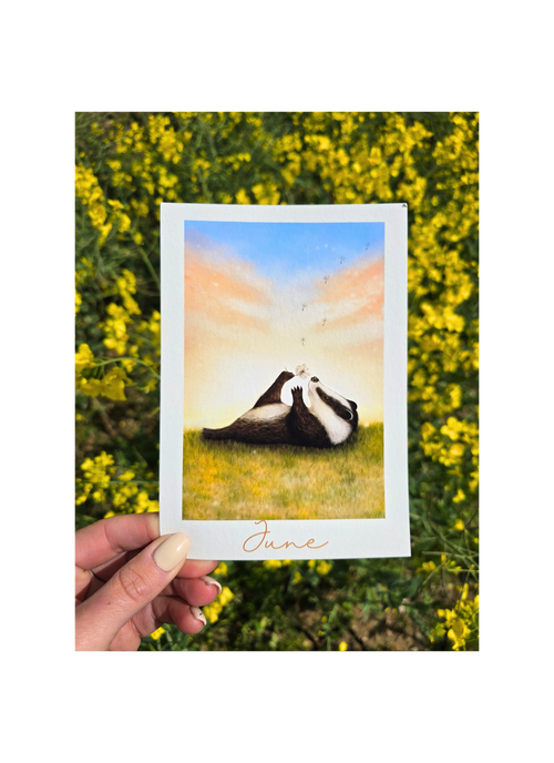 art print of a badger in a field with yellow flowers