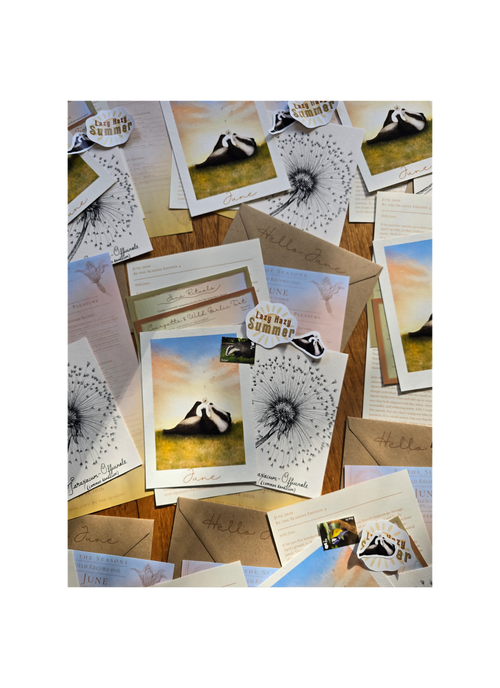art print of a badger and a dandelion